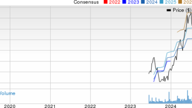 Cava stock price